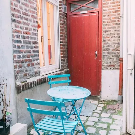 Very Nice Terrace In Old Appartement Lille